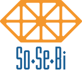 Software e Servizi per i Beni Culturali. SoSeBi produce e commercializza dal 1988 software gestionali per biblioteche e archivi. Oltre 500 biblioteche fornite e certificazione del MiBAC per SBN.